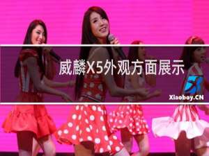 威麟X5外观方面展示