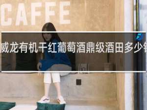 威龙有机干红葡萄酒鼎级酒田多少钱一瓶