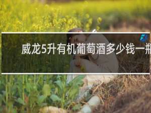 威龙5升有机葡萄酒多少钱一瓶