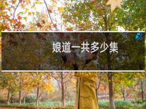 娘道一共多少集