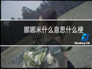 娜娜米什么意思什么梗