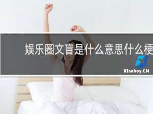 娱乐圈文盲是什么意思什么梗