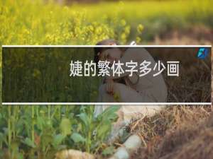 婕的繁体字多少画