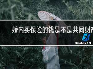 婚内买保险的钱是不是共同财产