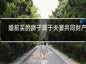 婚前买的房子属于夫妻共同财产吗