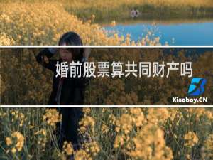 婚前股票算共同财产吗