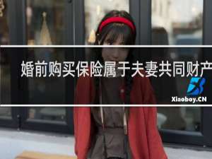 婚前购买保险属于夫妻共同财产吗