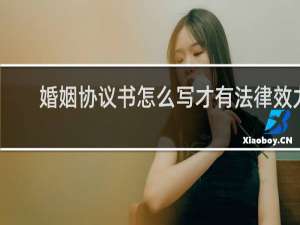 婚姻协议书怎么写才有法律效力