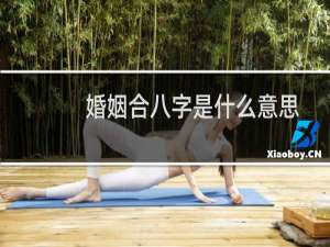 婚姻合八字是什么意思