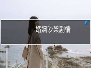 婚姻吵架剧情
