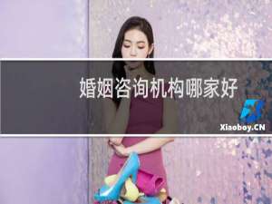 婚姻咨询机构哪家好