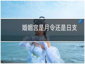 婚姻宫是月令还是日支