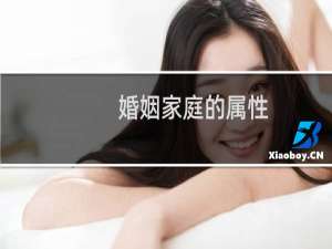 婚姻家庭的属性