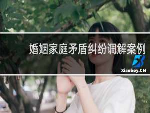 婚姻家庭矛盾纠纷调解案例