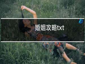 婚姻攻略txt