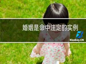 婚姻是命中注定的实例