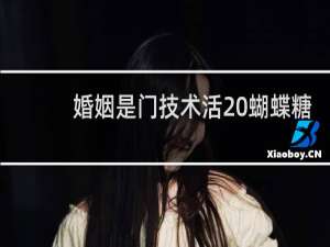 婚姻是门技术活 蝴蝶糖