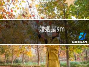 婚姻是sm