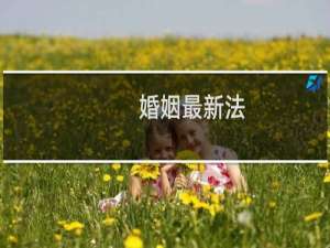 婚姻最新法