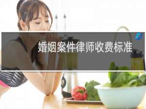 婚姻案件律师收费标准