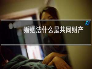 婚姻法什么是共同财产