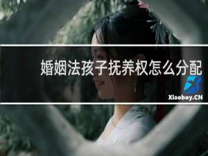 婚姻法孩子抚养权怎么分配