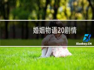 婚姻物语 剧情