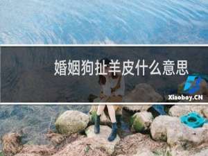 婚姻狗扯羊皮什么意思