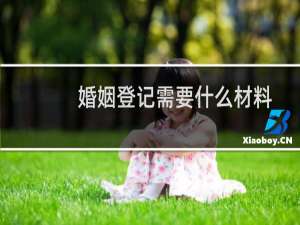 婚姻登记需要什么材料