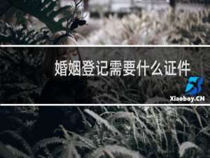 婚姻登记需要什么证件