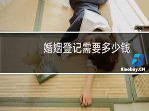 婚姻登记需要多少钱