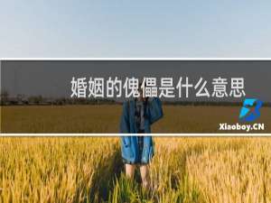 婚姻的傀儡是什么意思