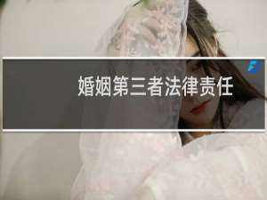 婚姻第三者法律责任