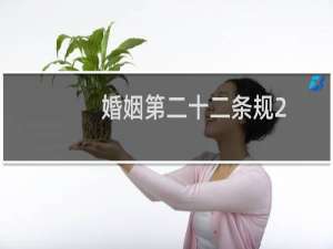 婚姻第二十二条规2