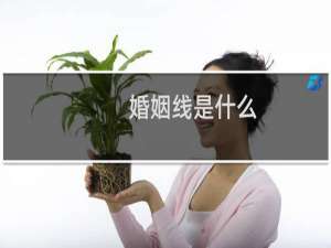 婚姻线是什么