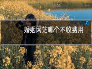 婚姻网站哪个不收费用