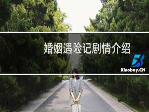 婚姻遇险记剧情介绍