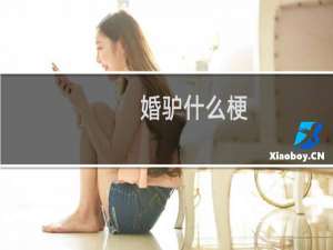 婚驴什么梗