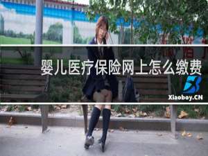婴儿医疗保险网上怎么缴费