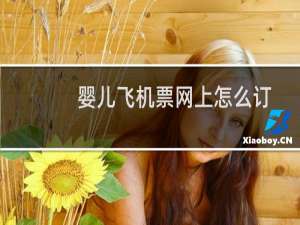 婴儿飞机票网上怎么订
