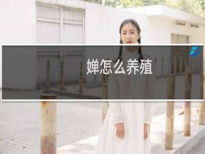 婵怎么养殖