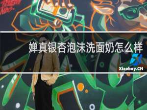 婵真银杏泡沫洗面奶怎么样