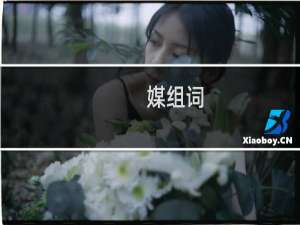媒组词（汉字媒组词）