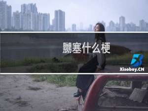 嬲塞什么梗