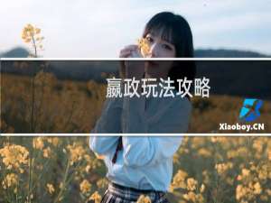 嬴政玩法攻略