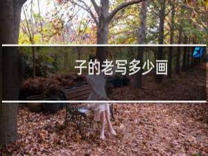 子的老写多少画