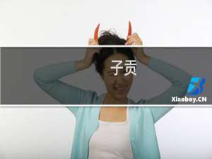 子贡：孔子像天