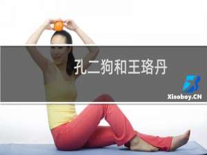 孔二狗和王珞丹（孔二狗是谁）
