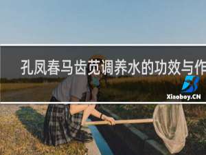 孔凤春马齿苋调养水的功效与作用