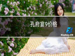 孔府宴9价格